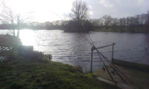 2014-02-03 Windy Day On The Pool