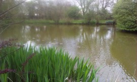 2014-04-23 Barlow's Pool 02