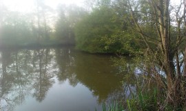 2014-04-23 Barlow's Pool 03