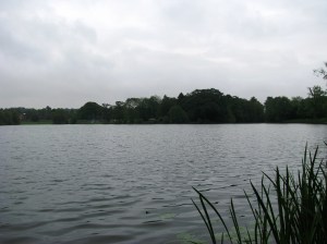 2014-05-30 Himley Great Pool 02