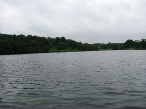 2014-05-30 Himley Great Pool 03