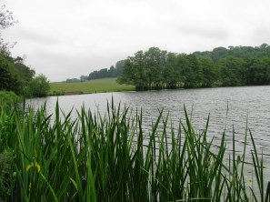 2014-05-30 Himley Great Pool 04