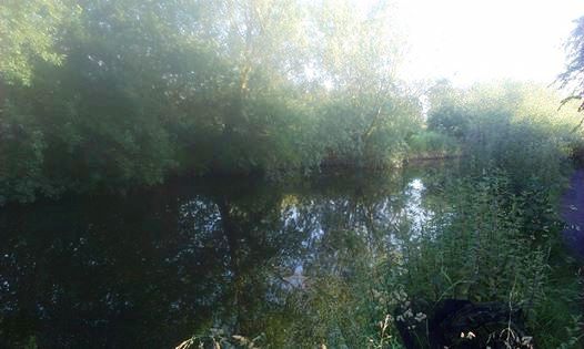 10494652_4398178730679_293103003632232877_n