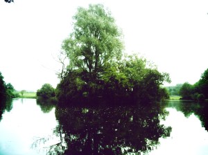 2014-09-23 From The Swim 01