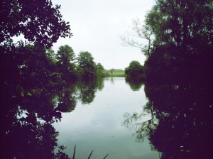 2014-09-23 From The Swim 02