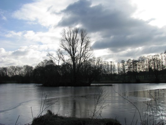 2014-02-03 Across The Pool At 1500 01