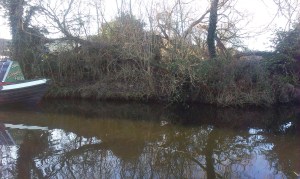 2015-02-17 Swim 1 01