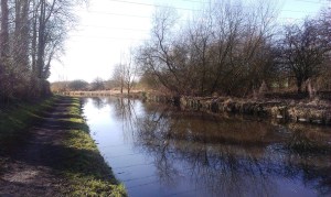 2015-02-17 Swim 2 02