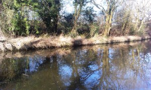 2015-02-17 Swim 2 03