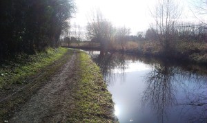 2015-02-17 Swim 3 02