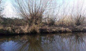 2015-02-17 Swim 3 03