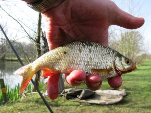 2015-04-10 Steve - Rudd 01