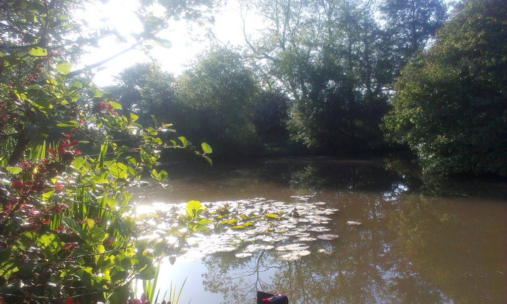 2015-06-09 Barlow's Pool 02