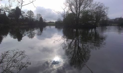 12718214_10201714279296798_2614575374487397047_n