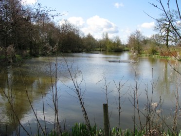 2016-04-05 Barlows 01