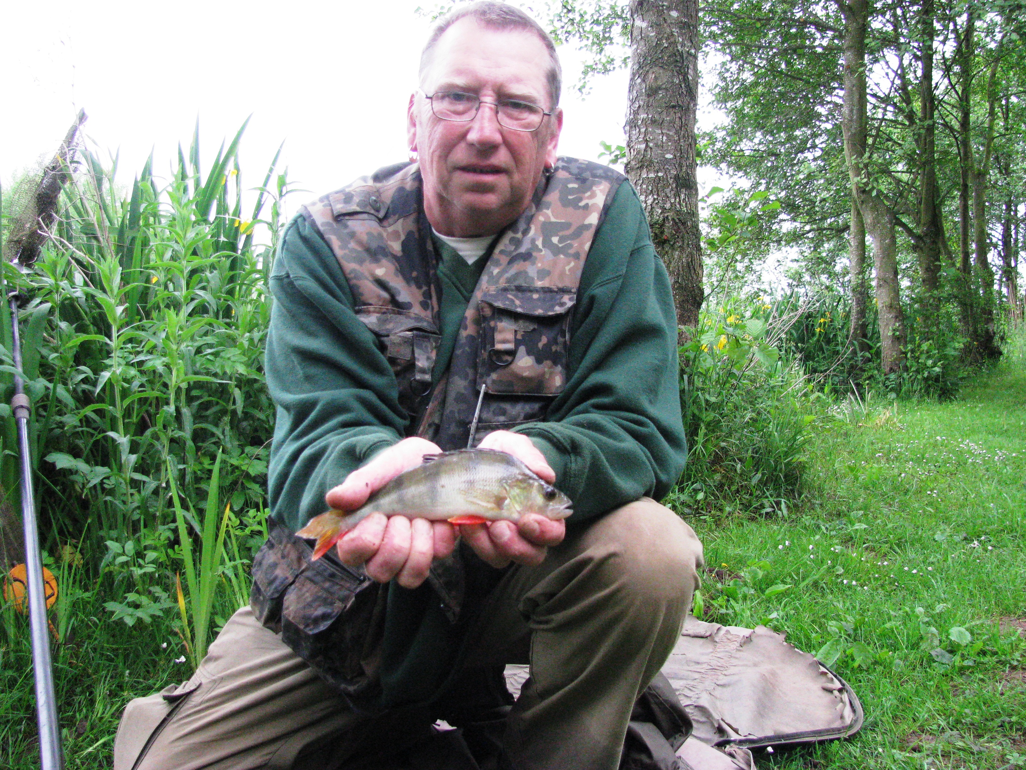 2017-05-30 Steve - Small Perch (1 Of A Catch Of 65)
