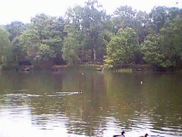 ScreenHunter_19 May. 12 14.57