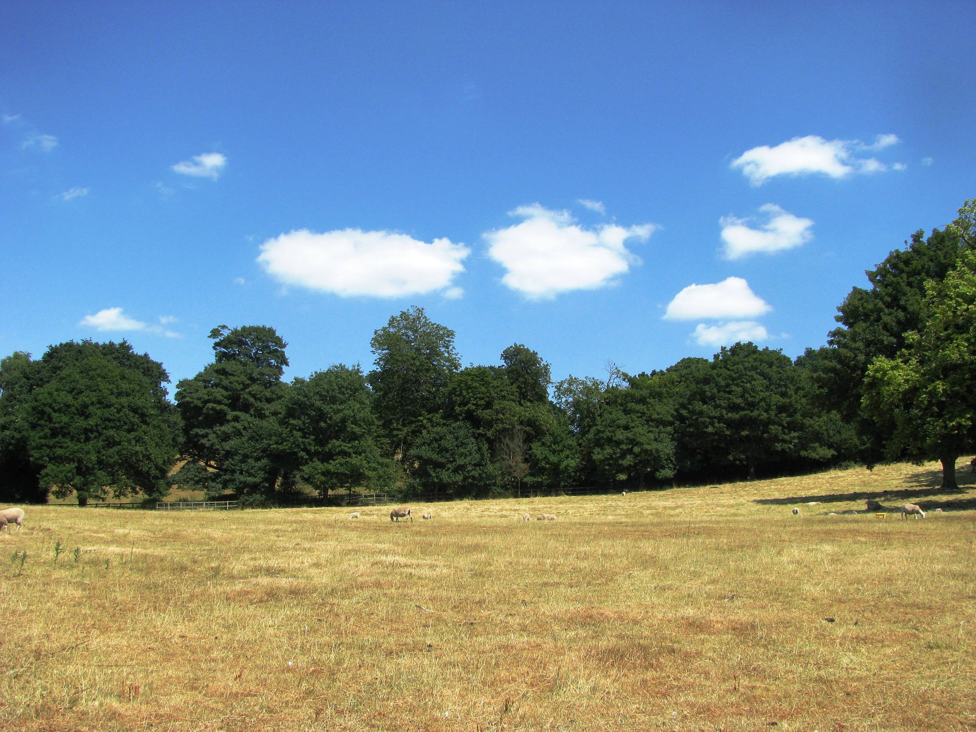 2018-08-07 - Clouds!