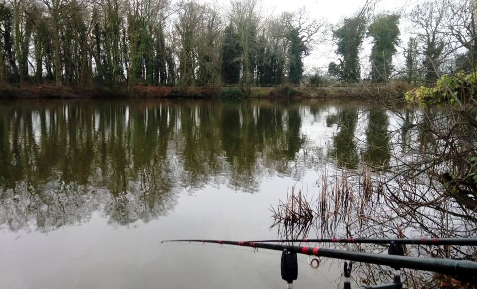 2020-01-13 Patshull 01