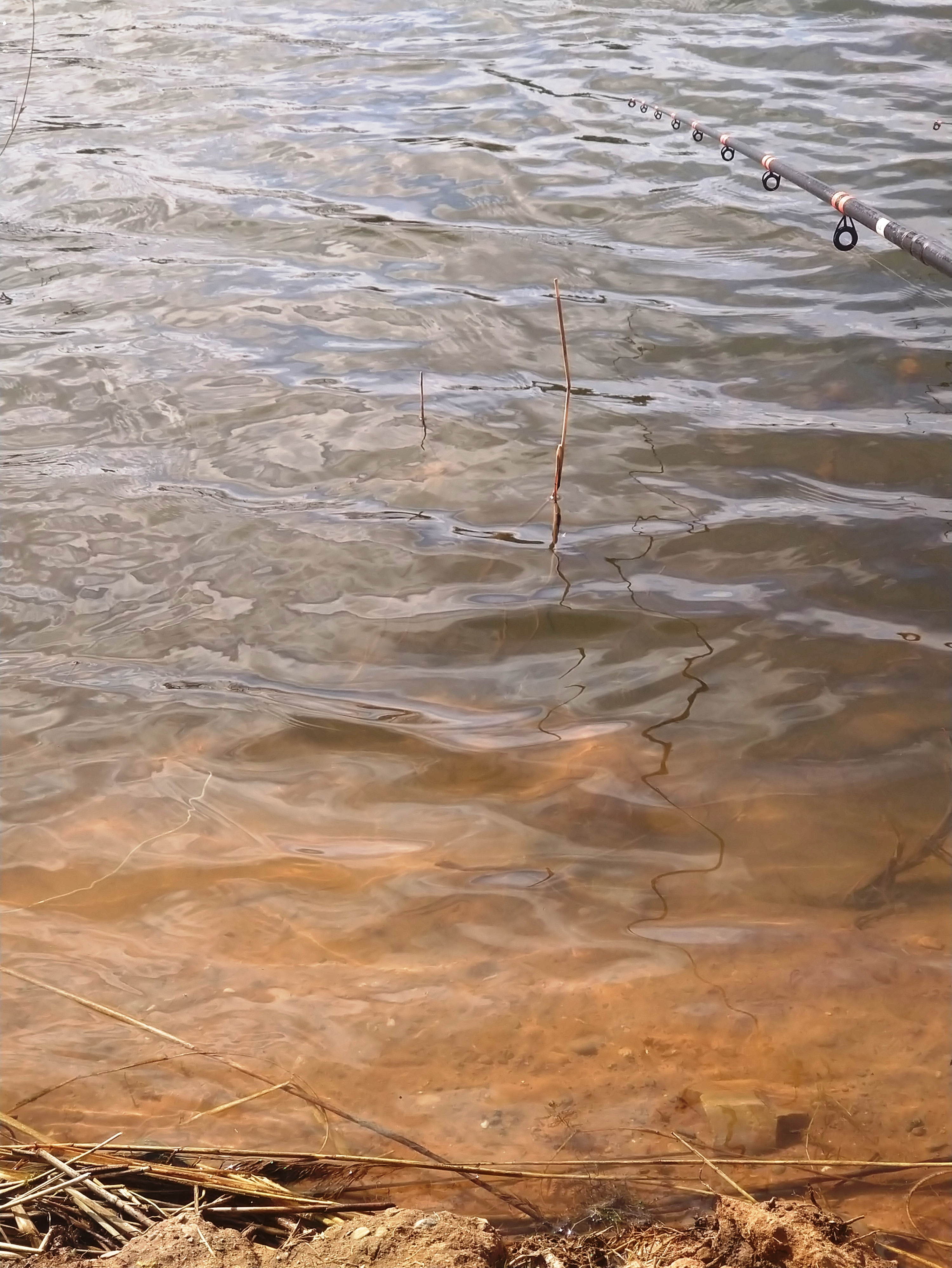 2021-03-25 Clear Water