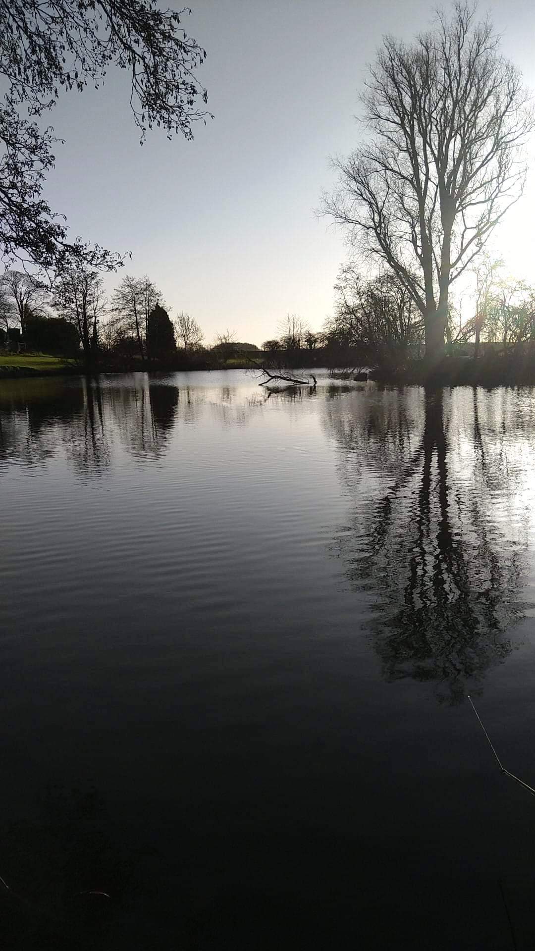 FB_IMG_1645128567128