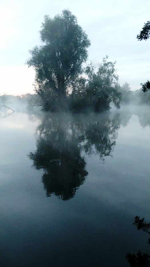 2023-10-16 Gunstone Morning